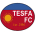 TESFA FC crest