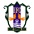 Ehime FC Ladies crest