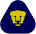 UNAM