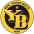 Young Boys crest