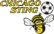 Chicago Sting crest